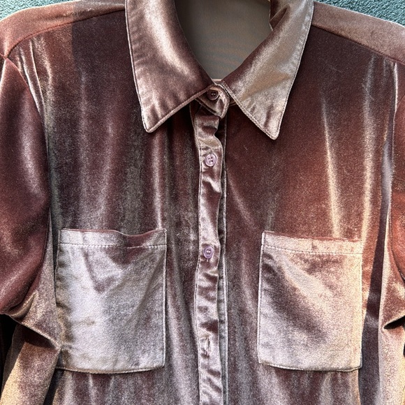 Velvet Button Down Shirt - Picture 3 of 4